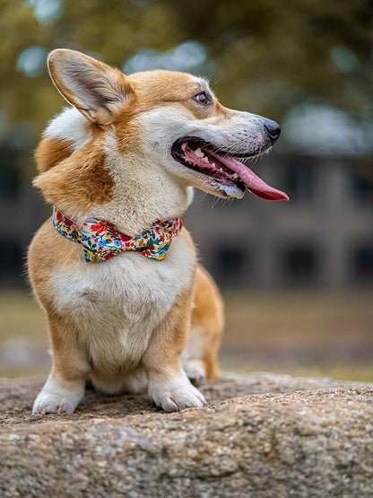 Dog Collar with Bow, Cotton & Webbing, Bowtie Dog Collar, Adjustable Dog Collars for Small Medium Large Dogs and Cats